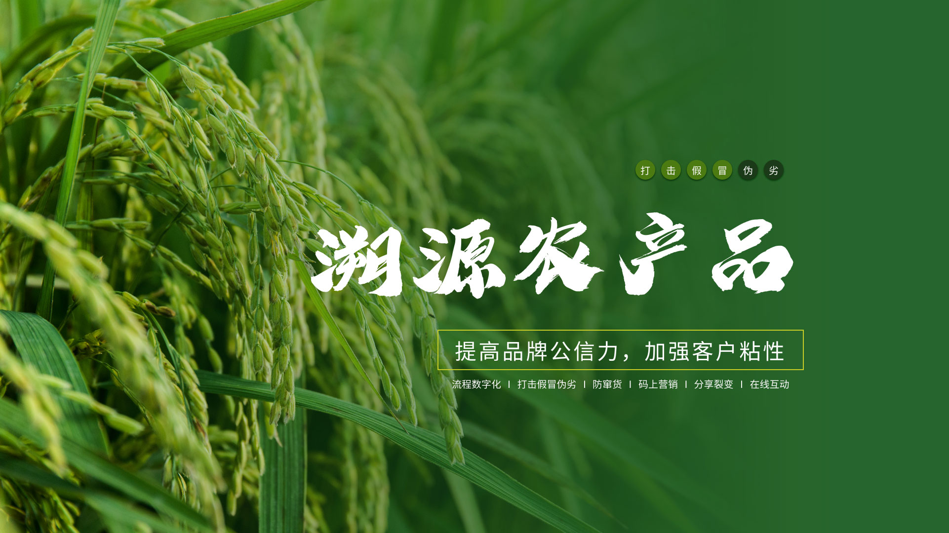 溯源农产品